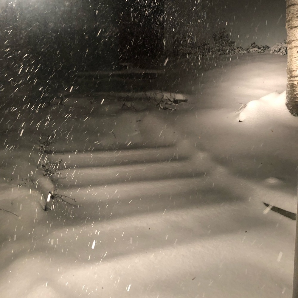 Meet your Posher, Lexi